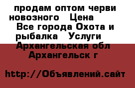 продам оптом черви новозного › Цена ­ 600 - Все города Охота и рыбалка » Услуги   . Архангельская обл.,Архангельск г.